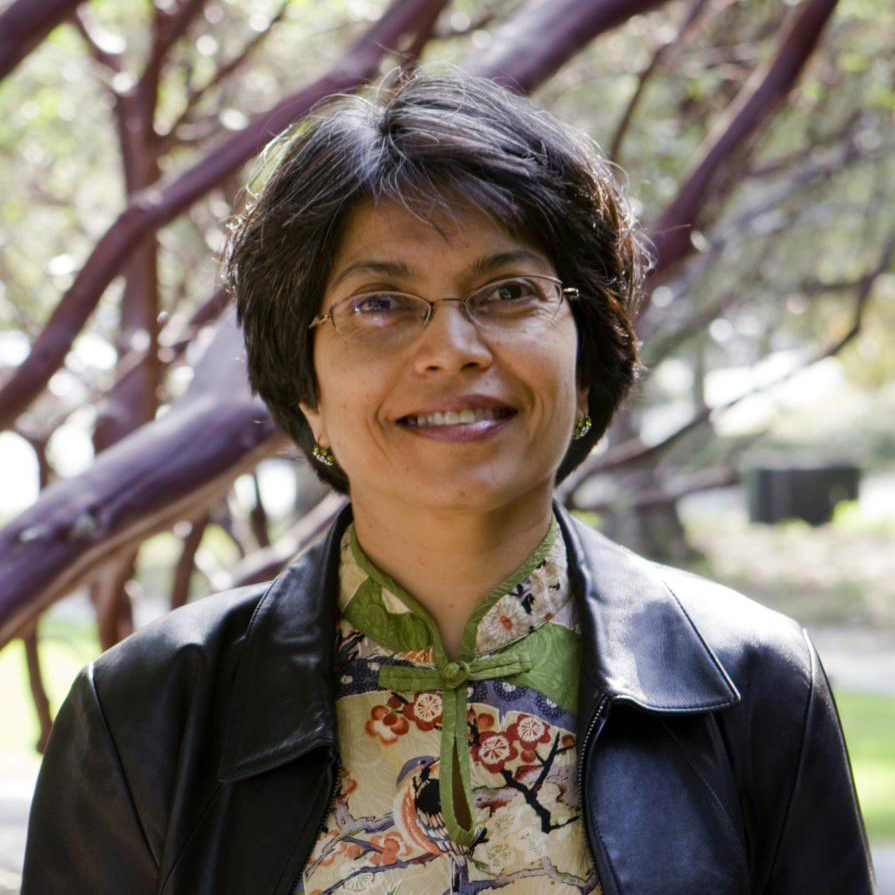  Professor Saba Mahmood